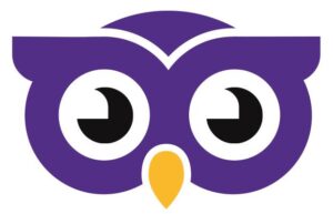 Bizwize owl logo